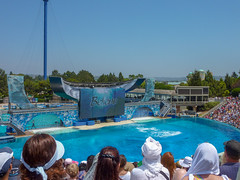 Photo 24 of 25 in the Day 8 - SeaWorld San Diego & Belmont Park gallery