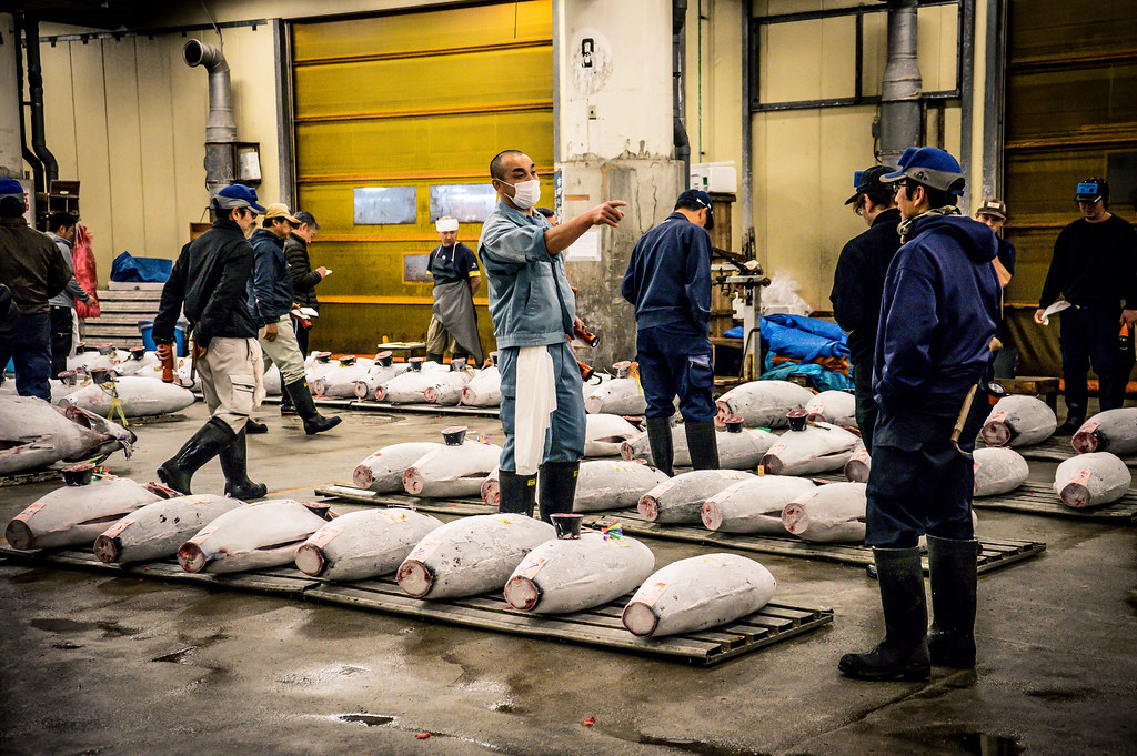 Tuna auction at Tsukiji fish market, Tokyo