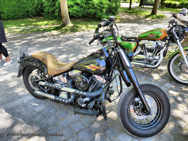 Motorrad Harley Davidson