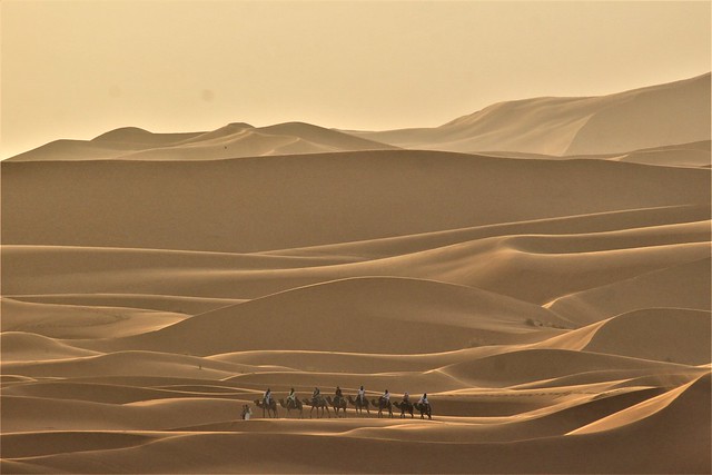 Morocco, desert of 