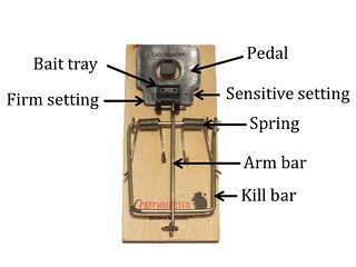 photo of rodent snap trap with different parts labeled as the bait try, pedal, sensitive setting, spring, arm bar, and kill bar