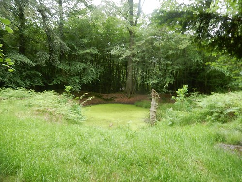 Pond Covered in green stuff. Saunderton Circular via West Wycombe