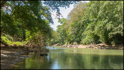 alajuelaprovince costarica peñasblancasriver river ríopeñasblancas muelledesancarlos alajuela cr