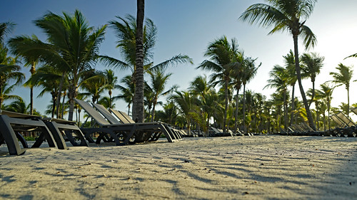 mexico rivieramaya mayanriviera barcelorivieramaya barcelo sand beach trees palmtrees sky sony sonya7ii sonyfe24240mm