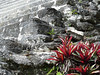 Tikal, Acrópolis Norte, foto: Petr Nejedlý