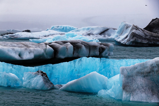 Pourquoi certains icebergs sont-ils bleus ?  // why are some icebergs blue?