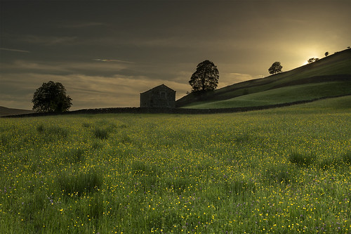 hay meadows wild flowers muker yorkshire dales national park sunset nikon d850 barn