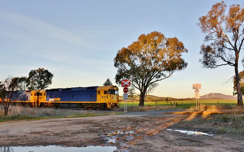 nikond610 nikon mynikonlife d610 diesels diesel train trains locomotive locomotives railroad railways railway australiantrains freighttrain victorianrailways