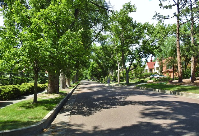 Lovely tree lined avenue ~ Colorado Springs
