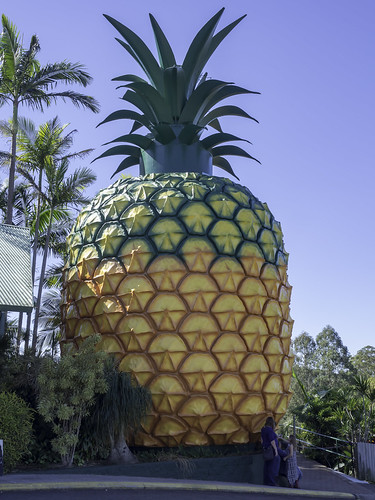 aussieicon bigthings bigpineapple nambourqld queensland sunshinecoastqld touristattraction qld australia plantation heritagelisted