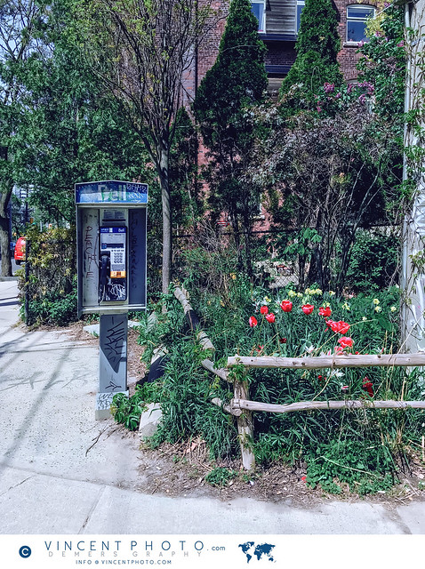 Payphone by Trinity Bellwoods Park in the city of Toronto, Ontario, Canada.