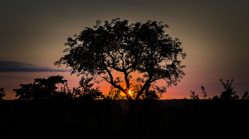 Sunrise at Phabeni Gate by Sheldrickfalls, Entering the park at sunrise is an awesome experience and I have tried to convey that feeling with t
