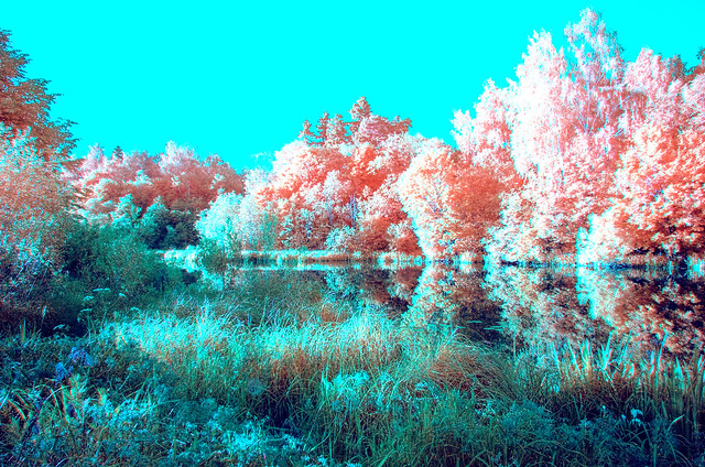 First experience with ir photo