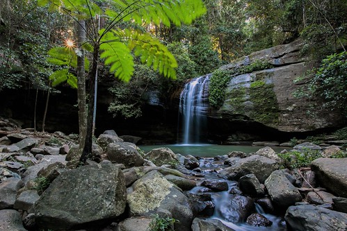 6d budrimfalls sunshinecoast forest june2018 waterfall