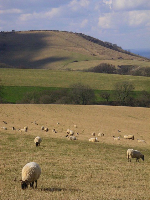 Book 1, Walk 29, Hassocks to Lewes 2 March '06