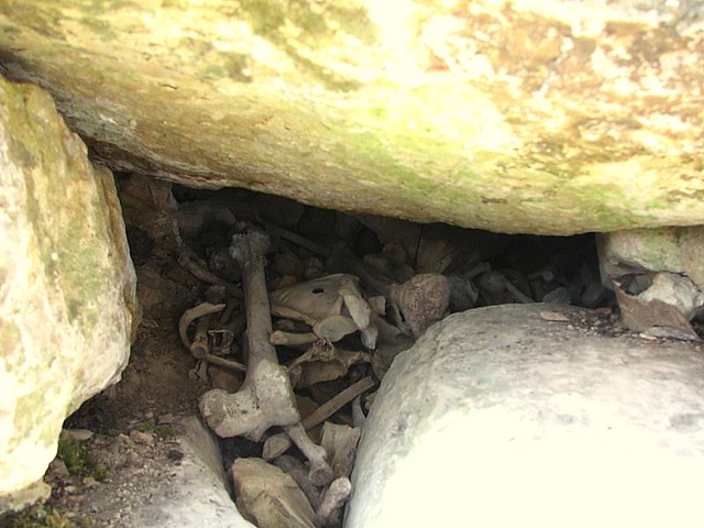 Piedras y huesos