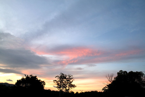 pink sunset tree silhouette clouds canon geotagged au australia queensland cedarcreek canonefs1855mmf3556ii 400d geo:lat=27329061 geo:lon=152864038