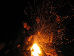 Beach Fire