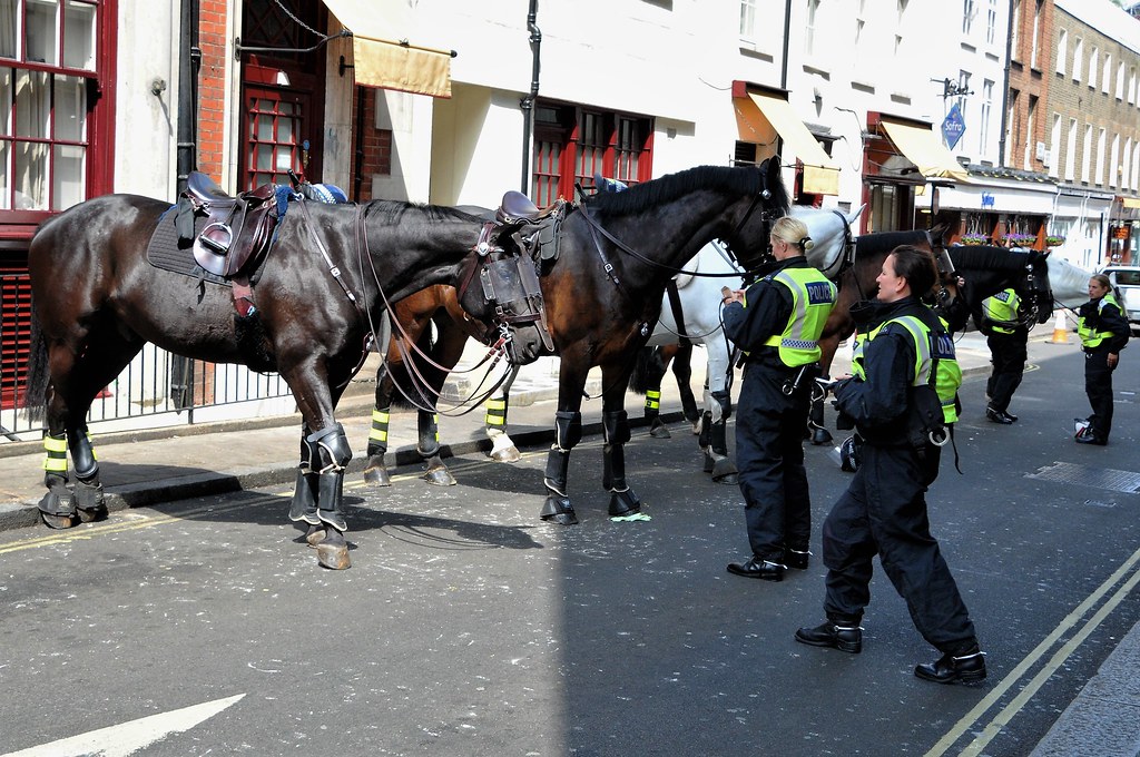 London Metropolitan Police Mounted Division