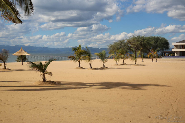 Malawi - Beach with palm trees