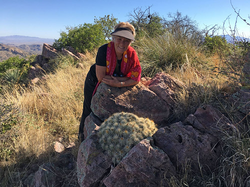 usa arizona ruby montana cactus