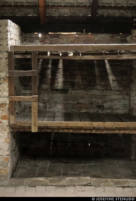 20170630_33k Sleeping platforms & ladder | Auschwitz concentration camp, Poland