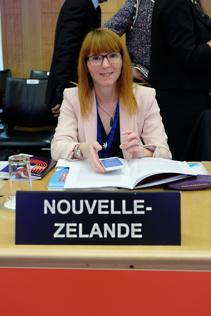 OECD MCM 2018: Tour de Table: Renewing Multilaterarism