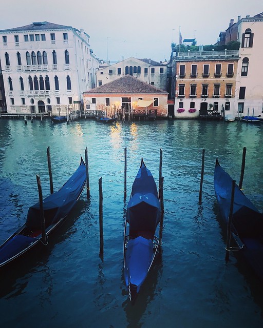 Gondolas in Venice #grandcanal #venice #italy #gondola