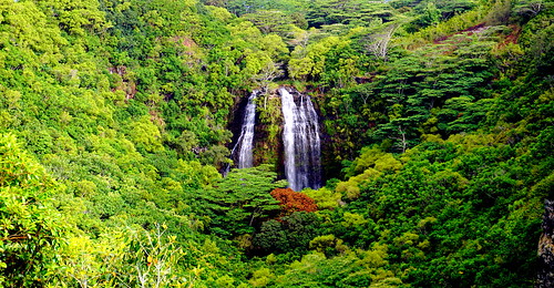 hawaii kauai waterfall stream opaekaafalls landscape green trees water