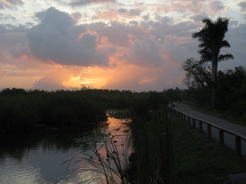 Sunrise in the Everglades