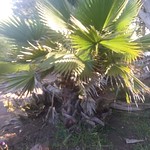 Picture of the hike