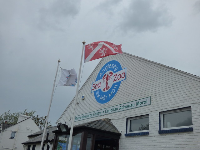 Anglesey Sea Zoo - sign and flags