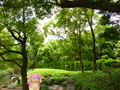 Audino in Fukagawa, Tokyo 27 (Kiyosumi Garden)