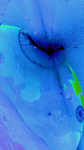 multi blue | by FunkeyMonkeyGallery