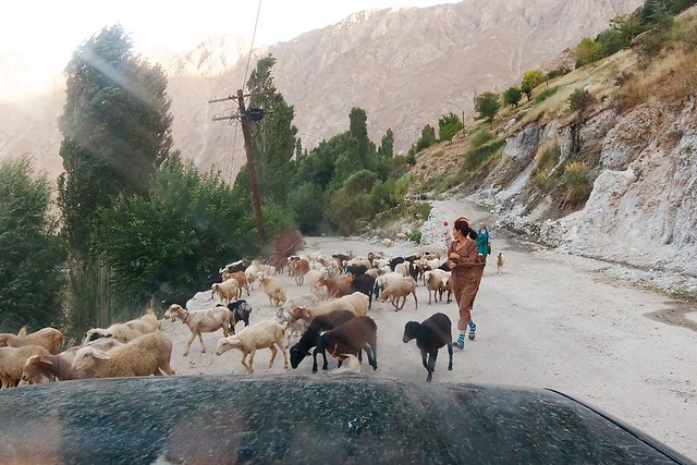 Traffic congestion on the Pamir Highway