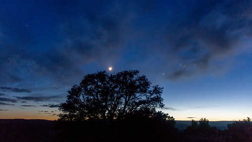 _DSC1734-1 by Terry O'Connor Photography, 2018 landscape utah outdoors