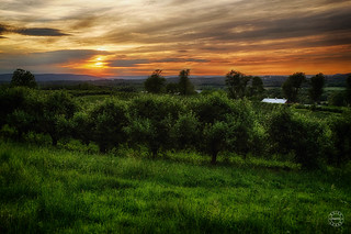 Sunset at Penning's Orchard