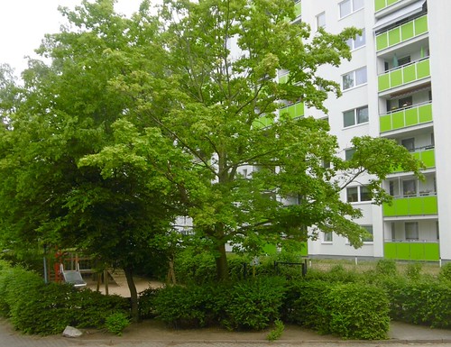 grüne Gropiusstadt | by radochla.wolfgang