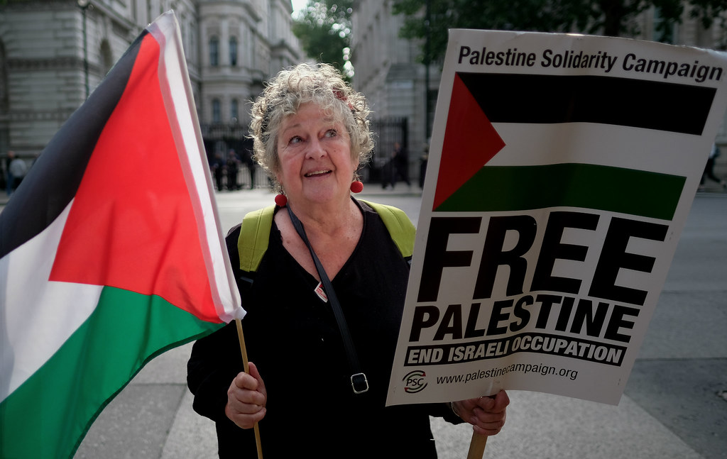 Free Palestine | Palestine solidarity protester with Palesti… | Flickr