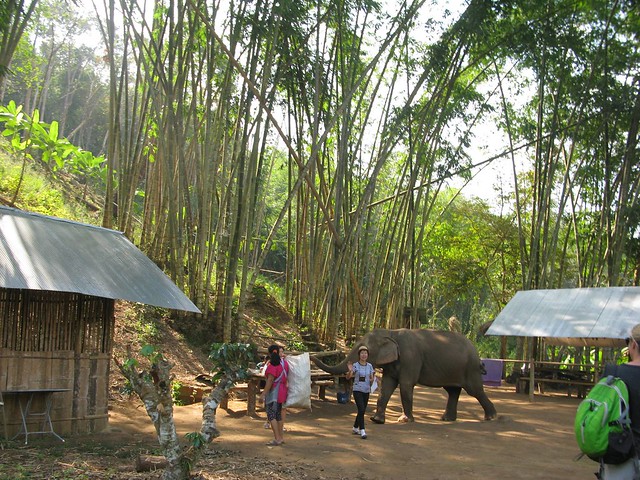 Parque Natural de Doi Inthanon Chiang Mai (Tailandia)