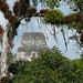 Tikal, pohled z chrámu II na špičku nejvyššího chrámu IV, foto: Petr Nejedlý