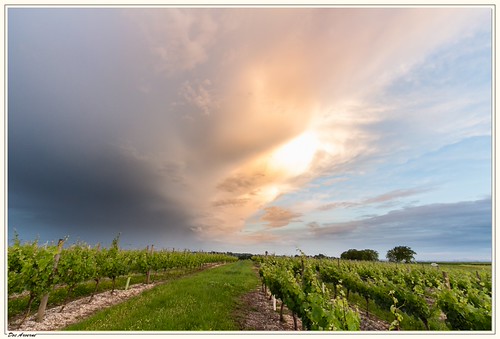 Sunset sur les vignes de Saint-Pourçain sur sioule by Doc ARVERNE, allier auvergne breux canoneos100d massifcentral saintpourçainsursioule sunset canonefs1022usm