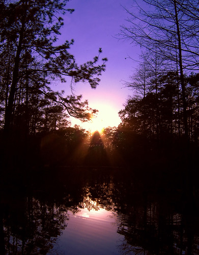trees sunset sky sun lake landscape pond texas cleveland houston resort chainolakes chainolakesresort