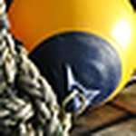 Buddy Icon