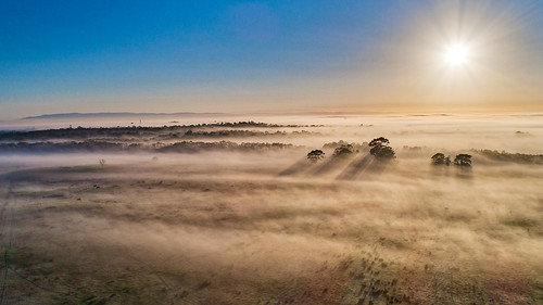 unlimitedphotos botanicridge farmland fog hdr paddocks photomatix sunrise victoria aerialphotography aurorahdr djiaustralia djiglobal djiphantom4advanced dronelife dronephotography edit mist quadcopter