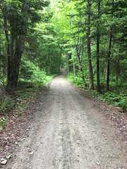 The carriage road between Forest Lake and Great Averill