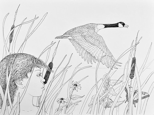 profile person naturalist girl drawing pen ink canadagoose goose bird rushes cattails marshmallow flower blackeyedsusan landscape sketch pond water sky
