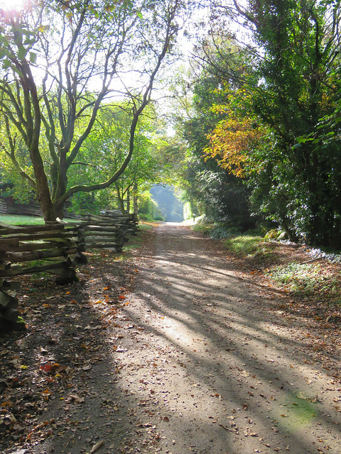 An Irish autumn stroll