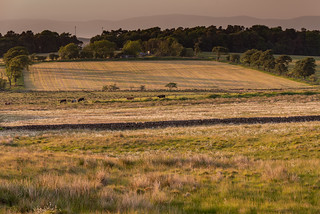 Countryside near Blackridge