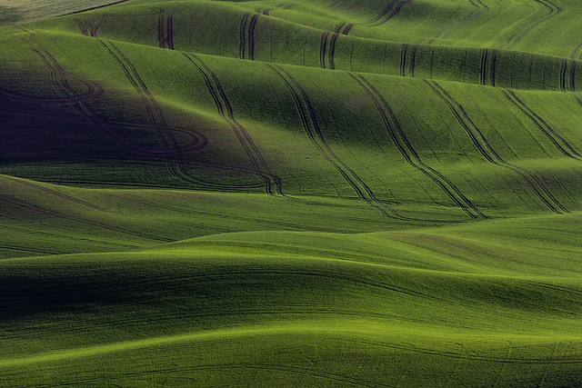 Patterns in Crops
